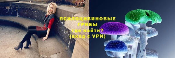 бутират Елабуга