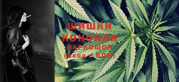 прущая мука Ельня