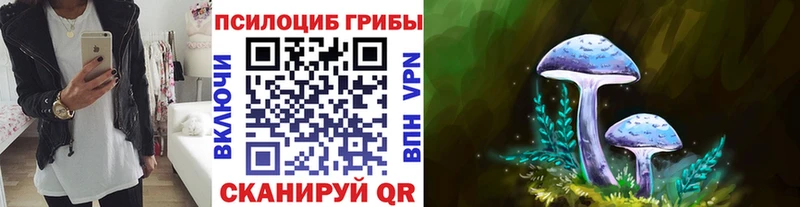 Галлюциногенные грибы ЛСД  Каменка 
