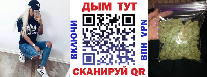Конопля планчик  купить наркотики цена  Каменка 